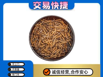 和田市墨玉县回收散虫草